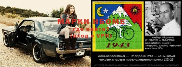 шишки Верхний Тагил
