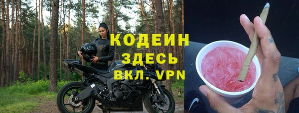 шишки Верхний Тагил