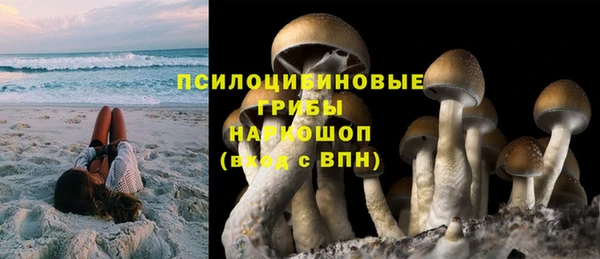 мдпв Верея