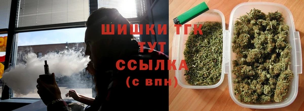 шишки Верхний Тагил